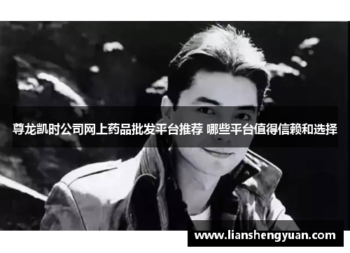 尊龙凯时公司网上药品批发平台推荐 哪些平台值得信赖和选择