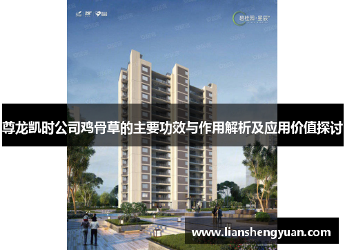 尊龙凯时公司鸡骨草的主要功效与作用解析及应用价值探讨